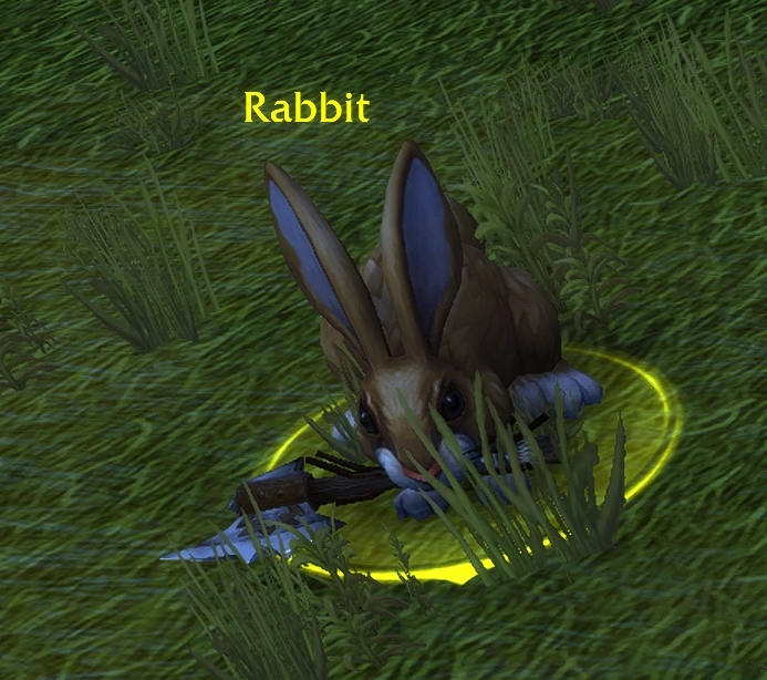 It's the little things that make this game special - General Discussion ...