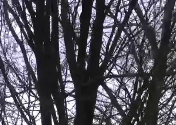 f042c84c4f720b413ff2a591448874a6.gif