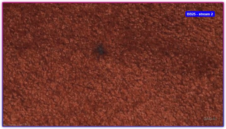 f0d9de17cb78899ab3819680eda0b34b.png
