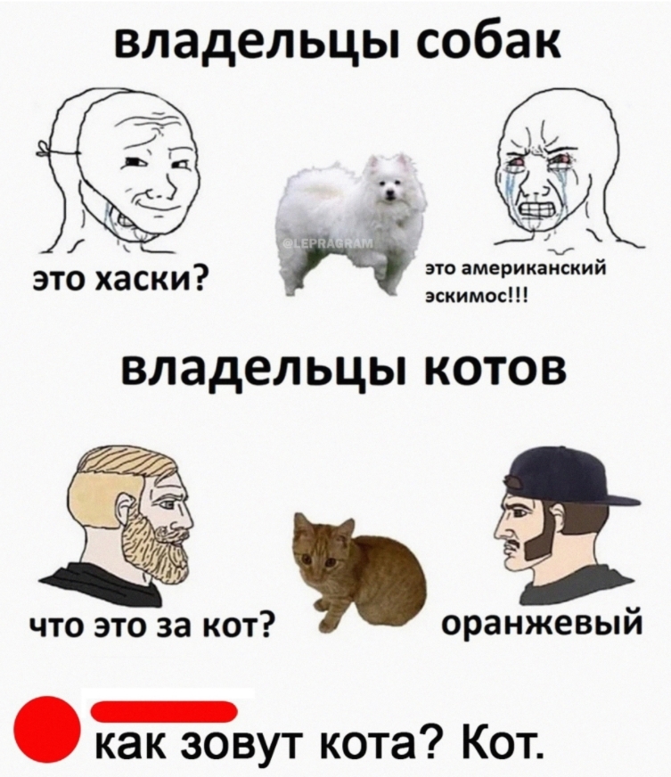 f17bf465b18b97c22c002676a99811b5.jpg