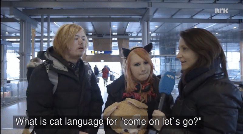 f263cf8fe1f44c981fad60cfa045eade.gif