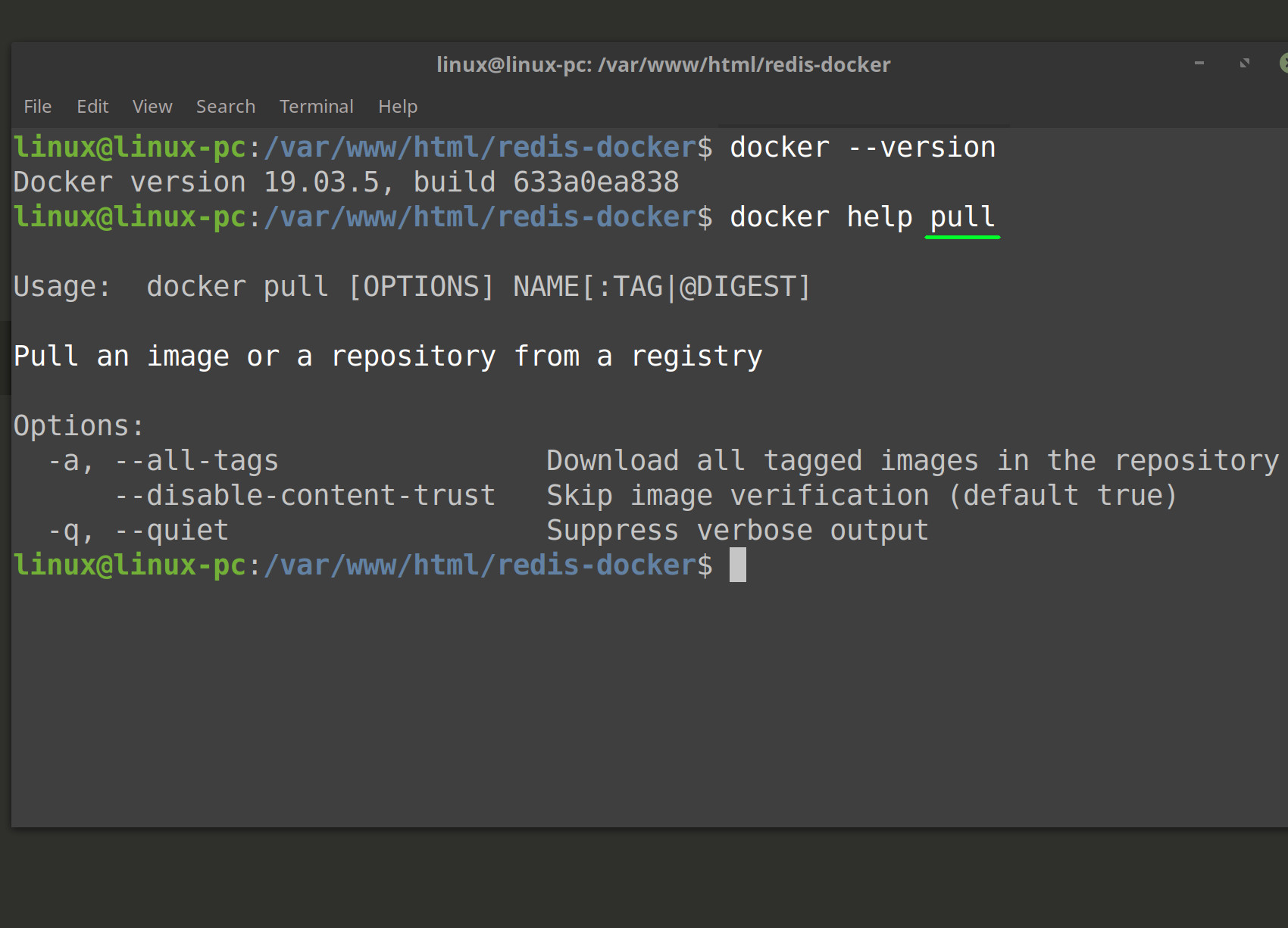 Screenshot of Docker --version and help commands in a Linux terminal