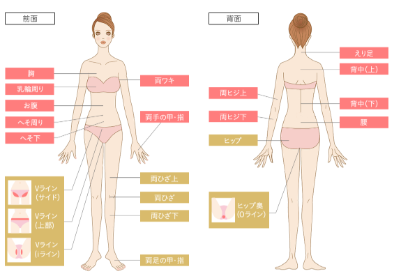 銀座カラーの脱毛範囲画像 銀座カラーの脱毛範囲画像