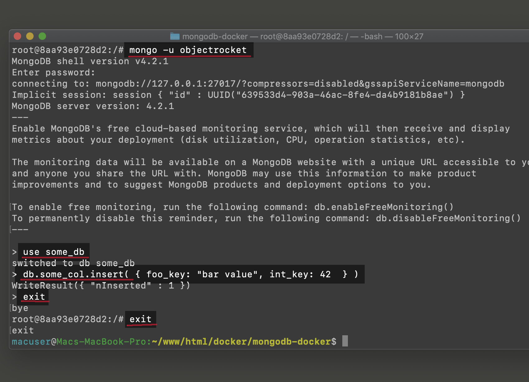 mongodb windows container database location