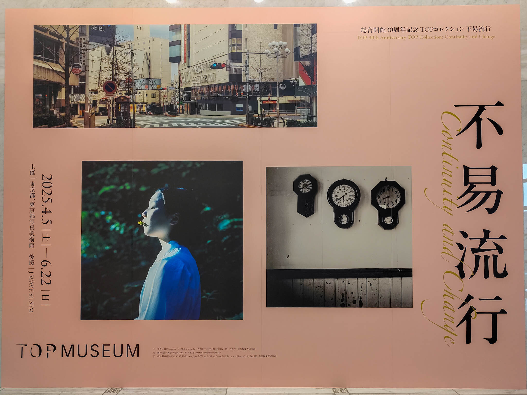 「TOPコレクション 不易流行」(東京都写真美術館)