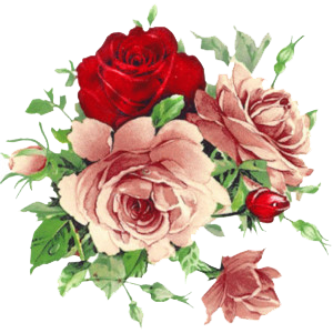 f42b7c03d0dbb49b51dc0e49f0e4819d.png