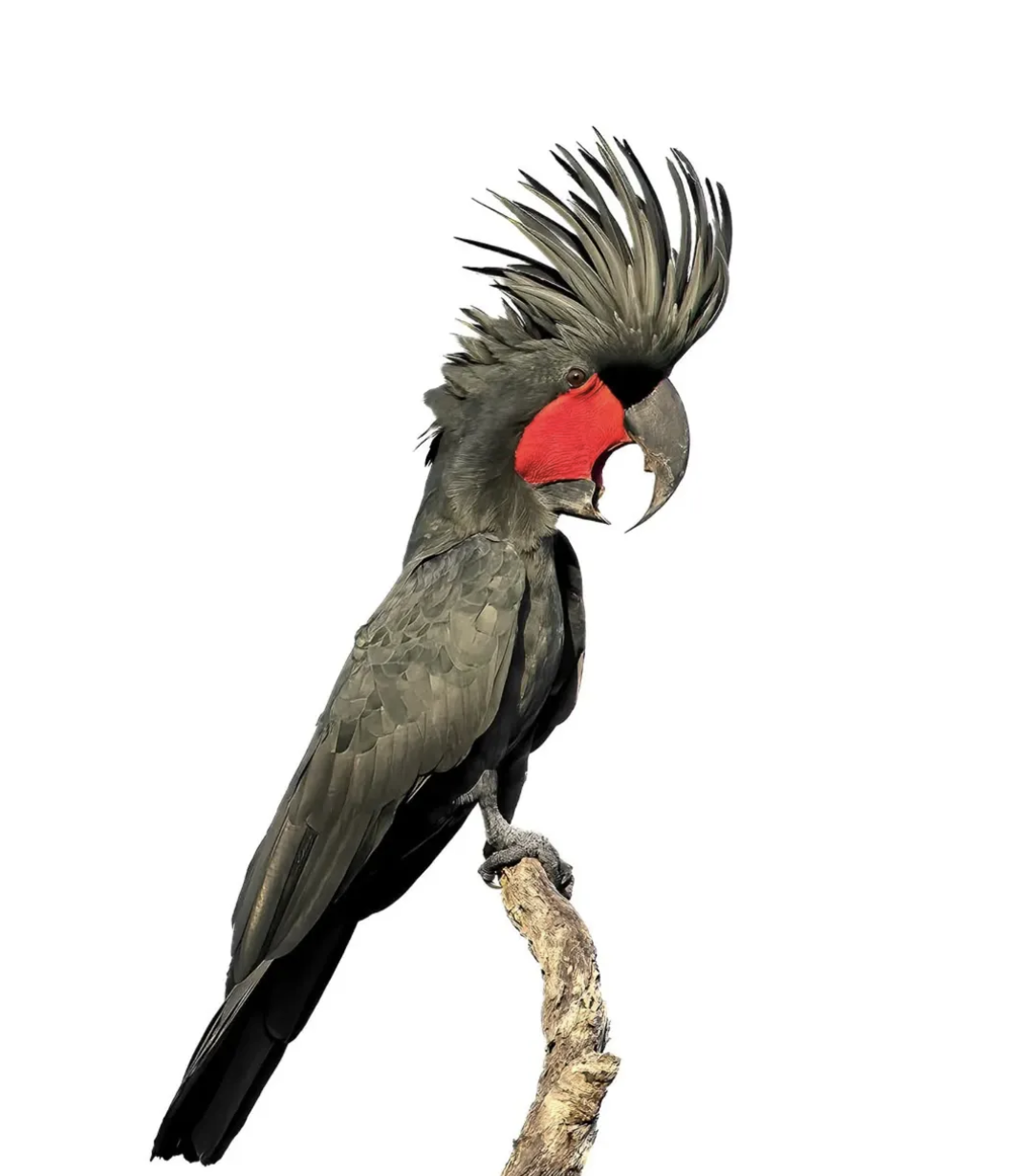 f46804c28b6eb96f3a6b72220f1ef15b.png