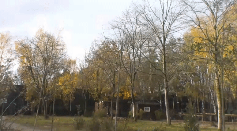 f64563b530a106d6f5ad6b44ad5b56e3.gif