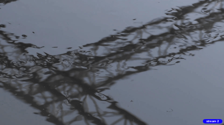 f673c461c96c60b3d4bd54e7780c8cee.gif