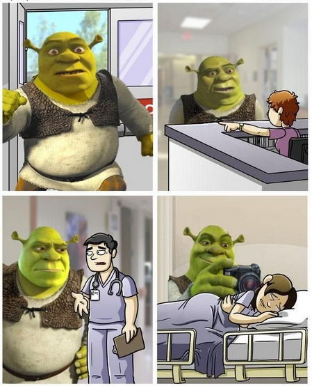 Shrek es amor, Shrek es vida
