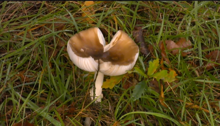 f74eab4cc55fc86f1413346184b9cad8.jpg