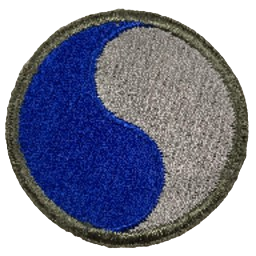 Ingame Shoulder Patch