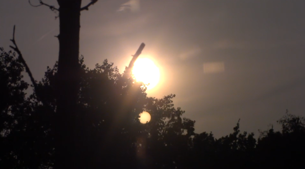 f812d71108064c3e0545b9b527d5de52.png