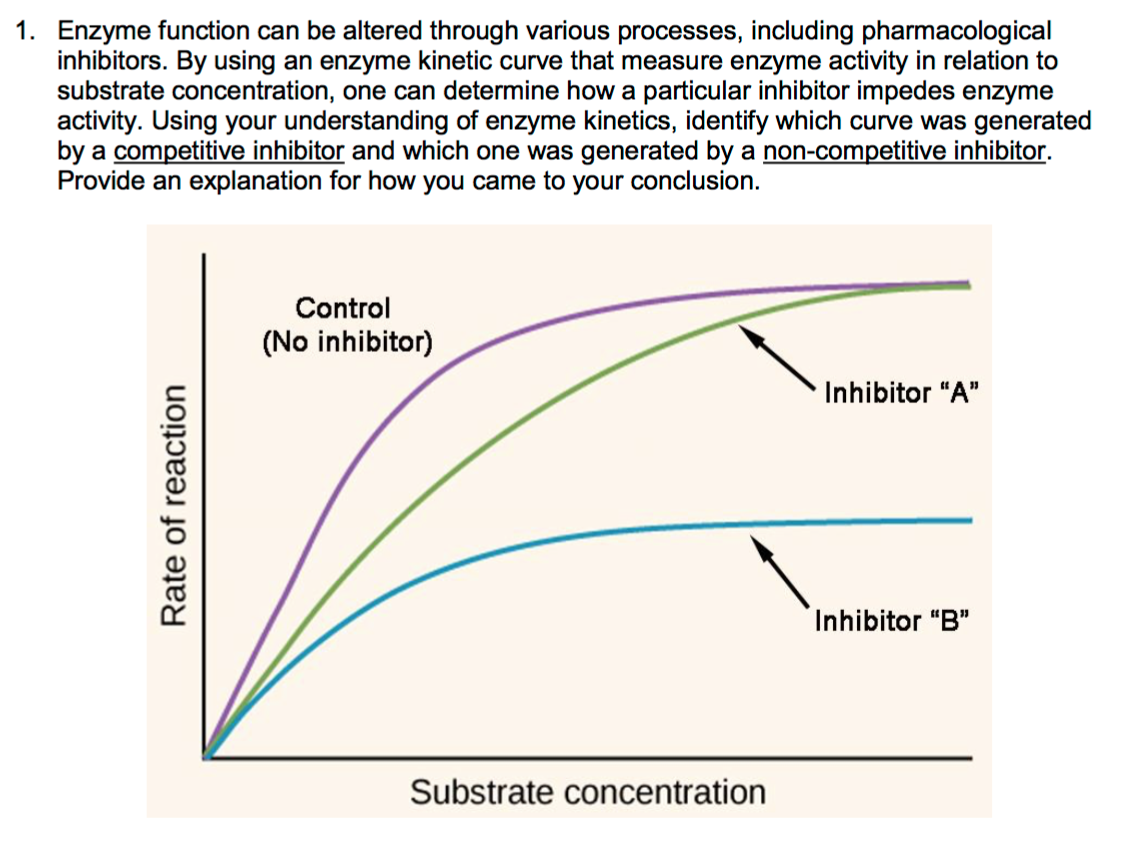 Solved 1. Enzyme function can be altered through various