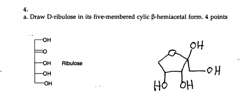 Ribulose Fischer Projection
