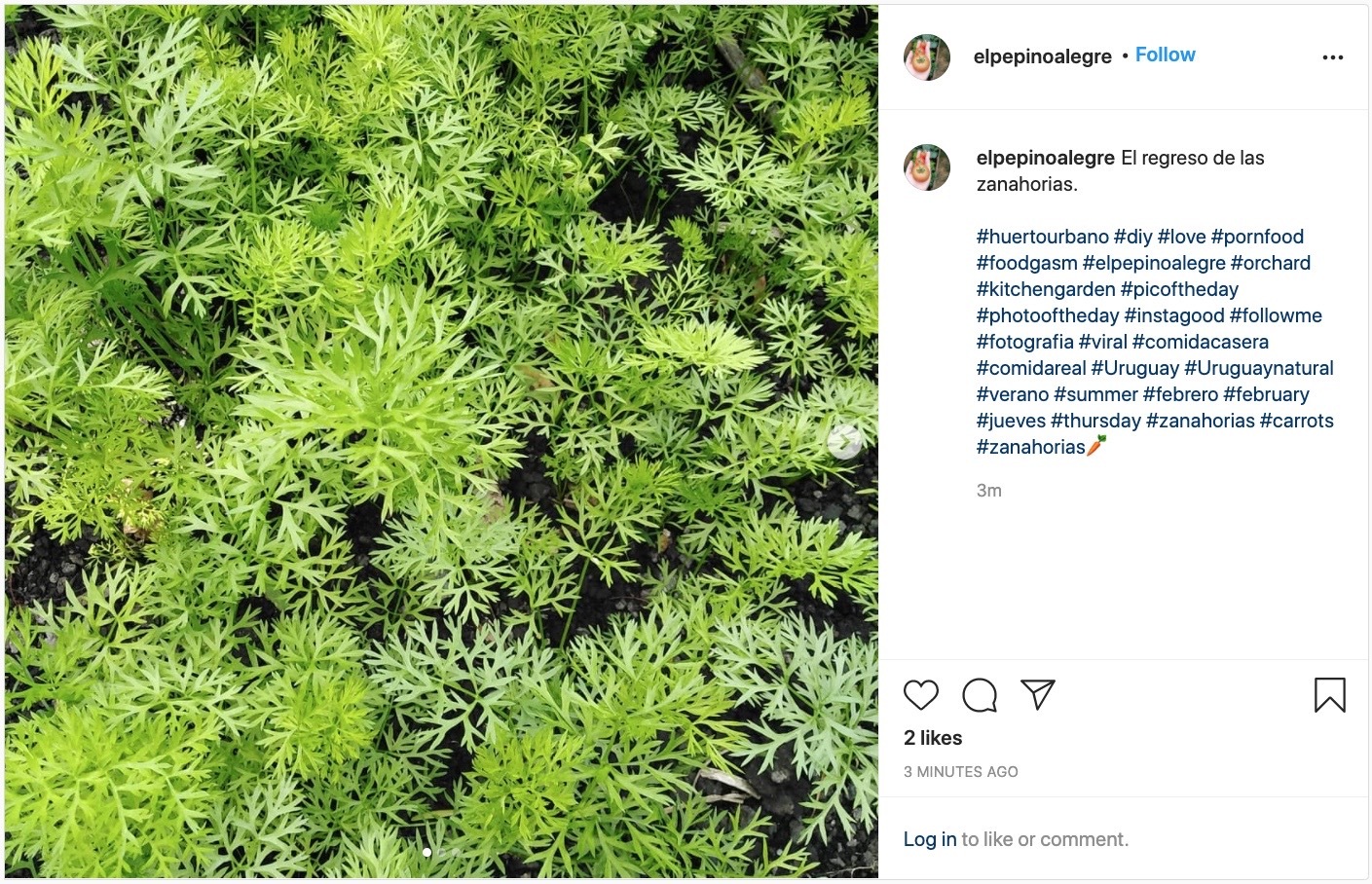 The Ultimate Guide To Instagram Hashtags For 21