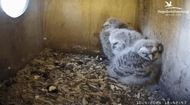 fa35978f4467186e104cac1eaa80b03f.gif