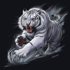 Apakah Ada Slot Online yang Lebih Mudah Dimenangkan?