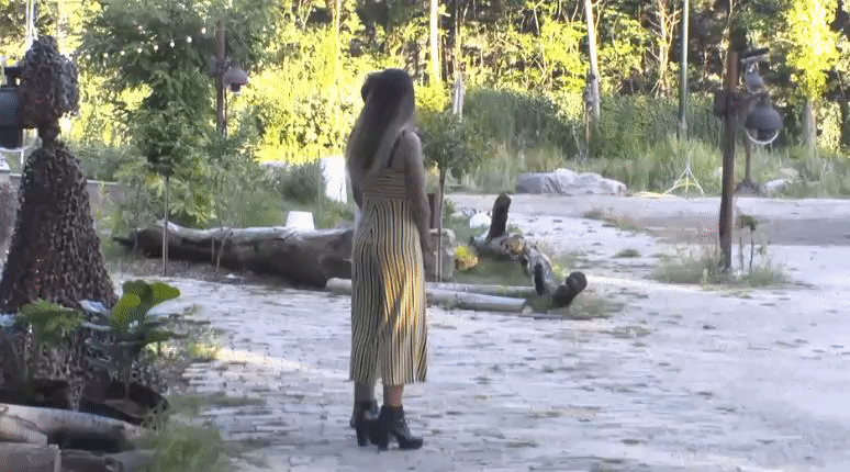 fb7561934ca3396d0a0a1aadd207b9e4.gif