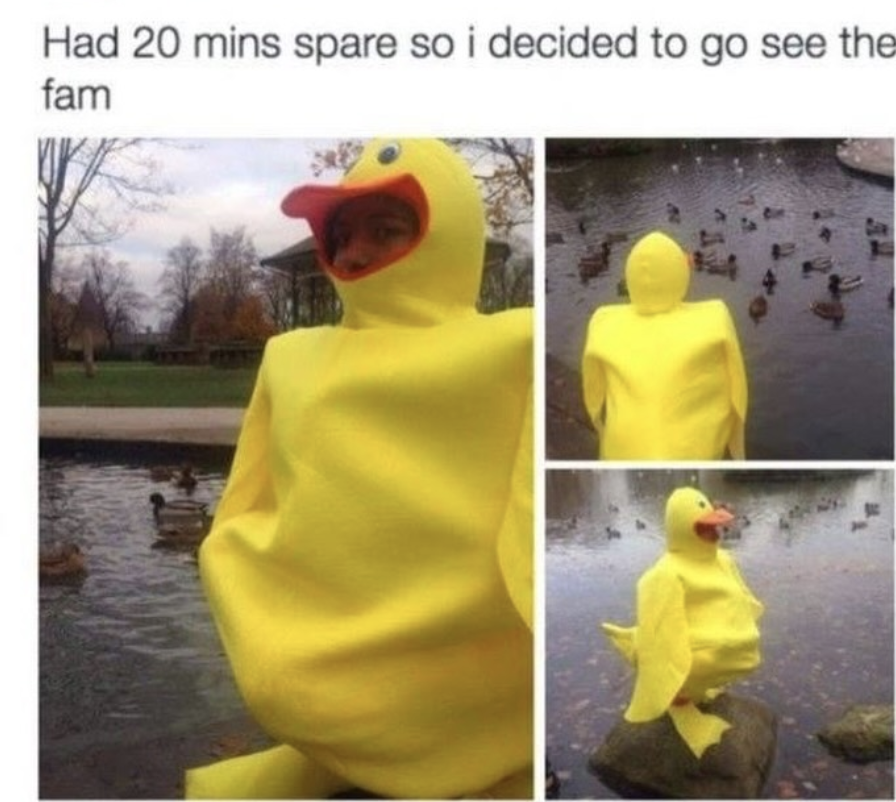 fb88bee526b78d58d8cfe661452b2410.png