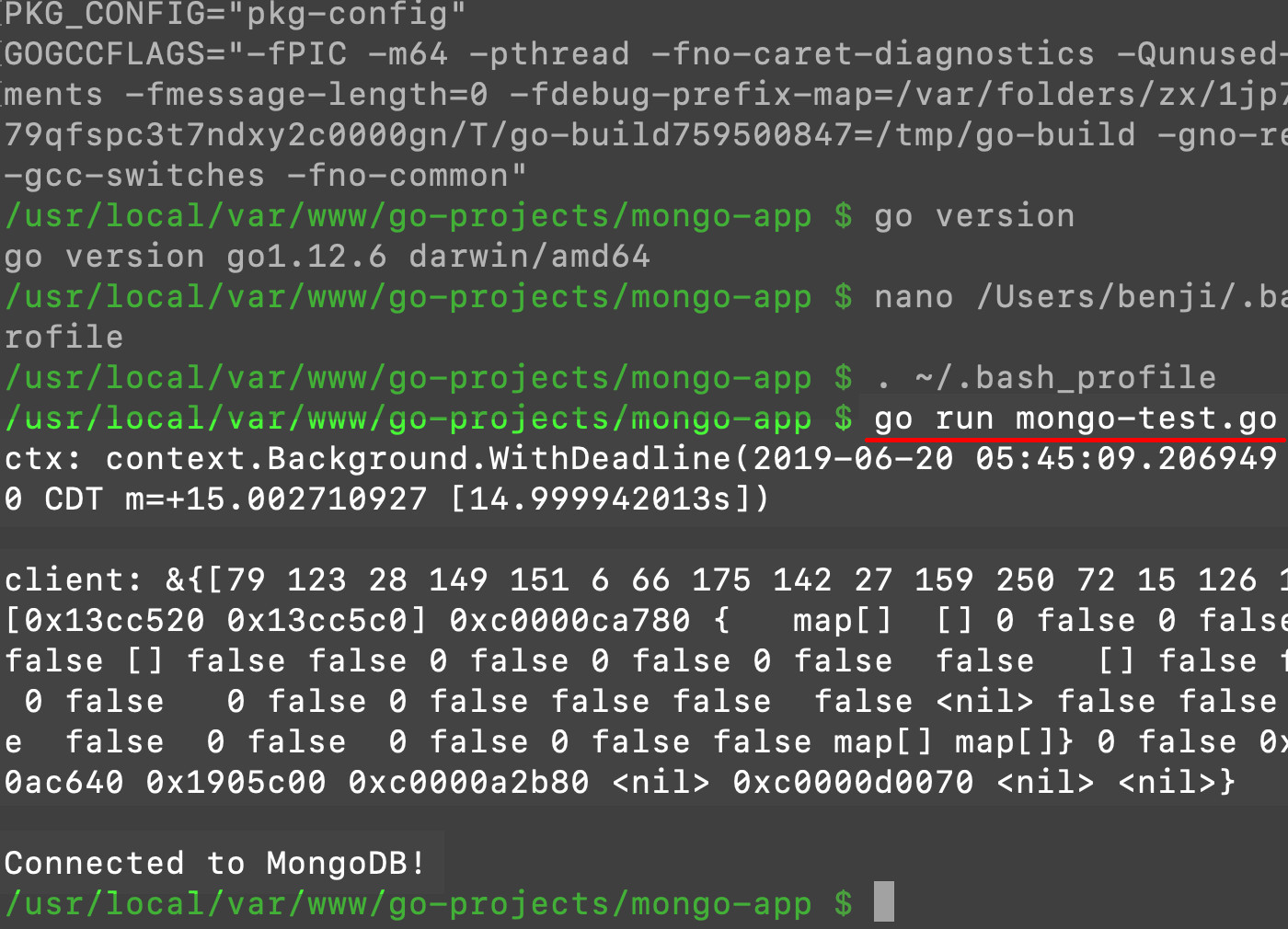 Screenshot of terminal in macOS compiling and executing Golang code to connect to MongoDB