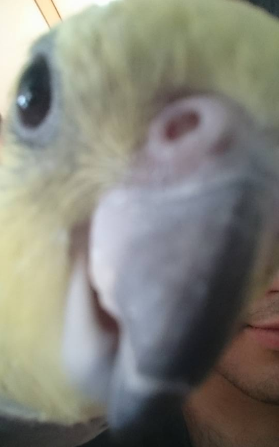 fbbb81319b5f0ffd0f38e4698dc44588.png