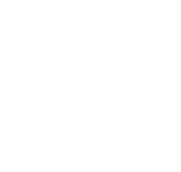 Swordmage