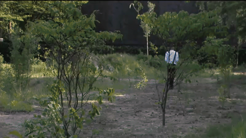 fbebda2ffc51d74f5c9f8aab6a739b9d.gif