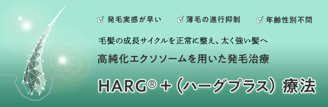 やんべ皮膚科クリニック