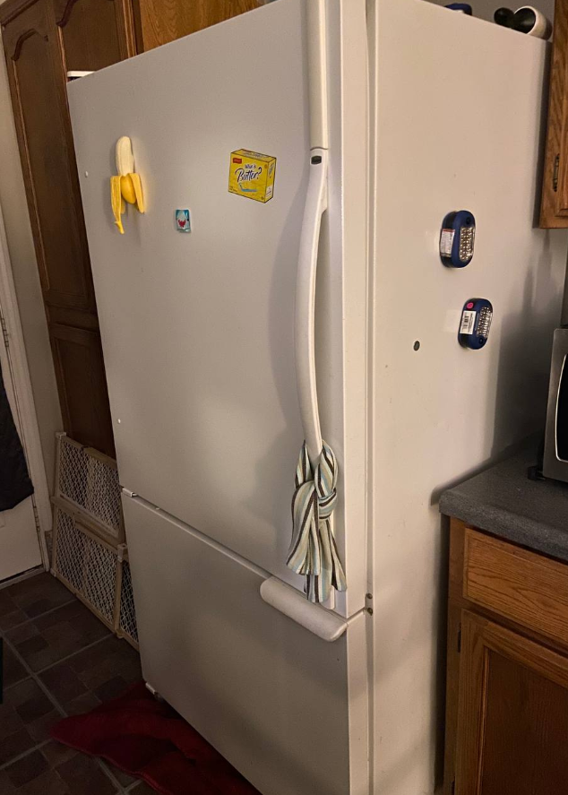 Left fridge door open and now it blows a fuse when plugged in r