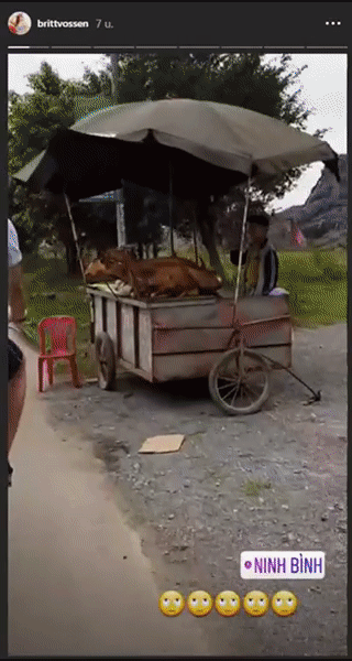 fcc886386f2e6cbcdebfb740888aeba5.gif