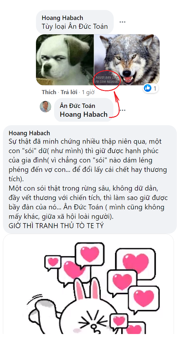 Hình ảnh