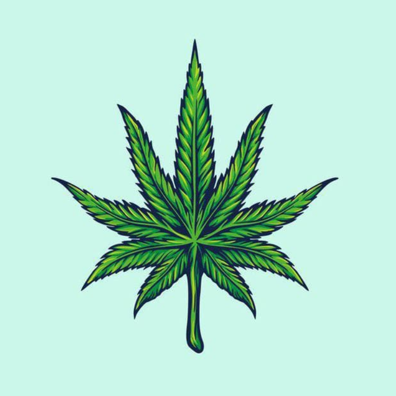 marijuana