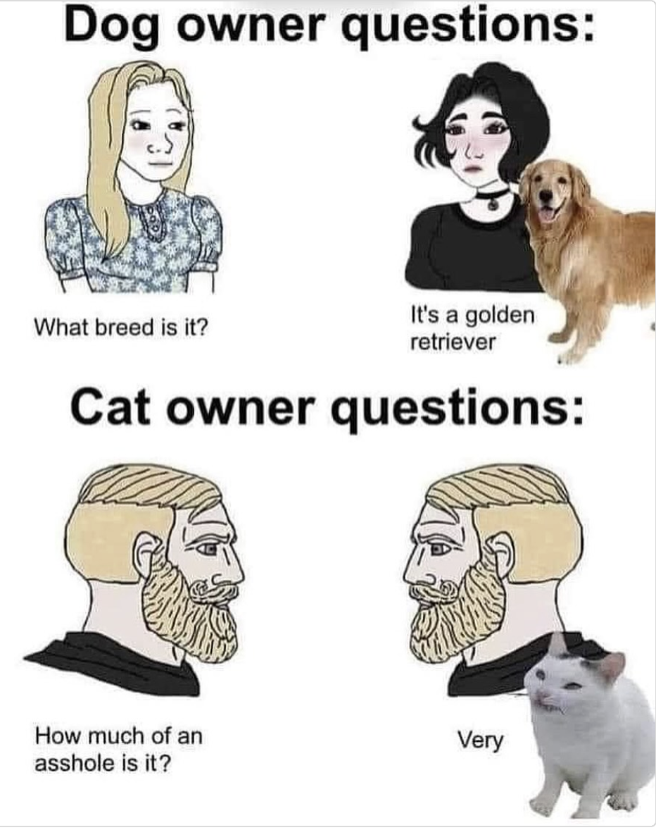 fdabb87e8254b231456f6c6cace617d4.png
