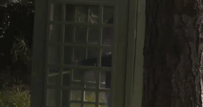 fe3f865aa1673a01997d4e44a05e58c2.gif