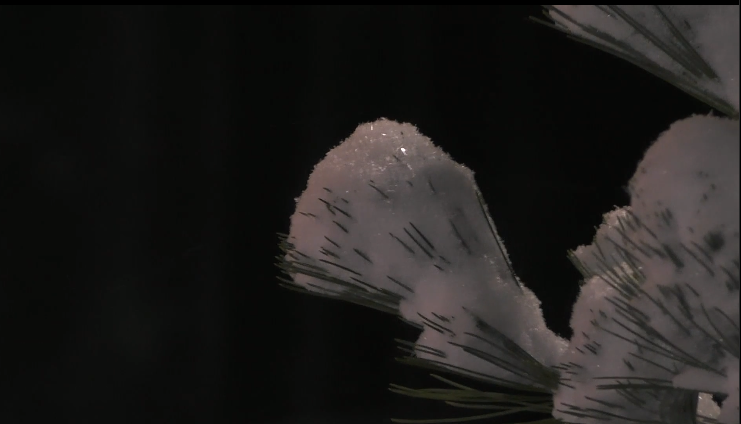 fe6d75a4acb038f0de80c963a8b8185b.png