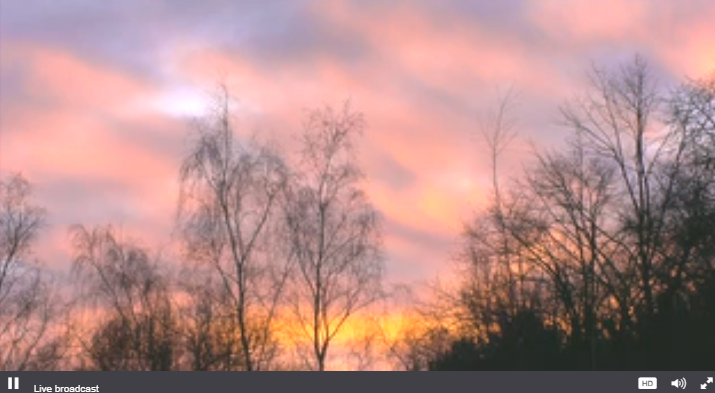 fee75645ec6b612787a47a742f01ecb8.png