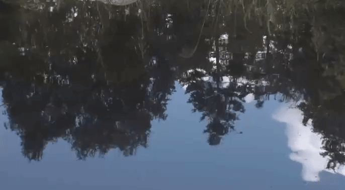 ff8b4d8c96b56a41cde3bc7e46bd5f53.gif