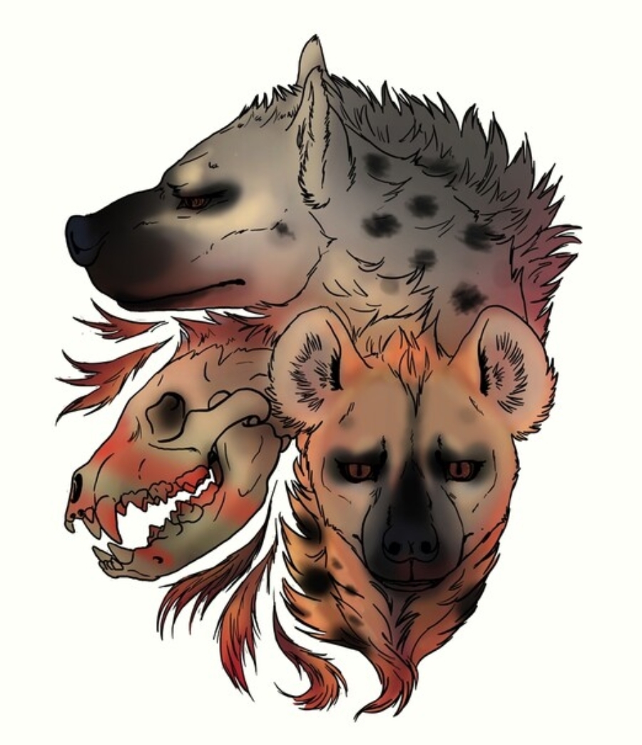 [Image: ffc319016773c94e0d0e1fb95308c9c4.jpg]
