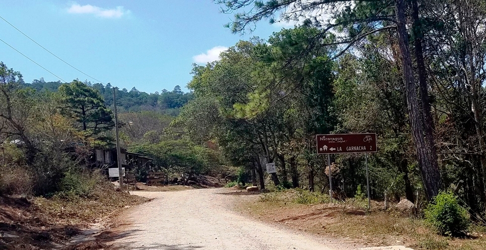 Descripción