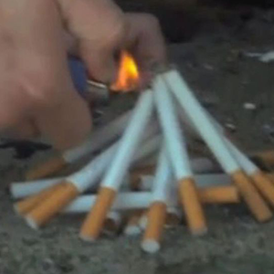fff5d9d32d0800f5f5e652b6466c084d.png