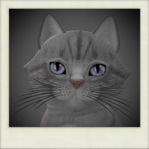 [Image: fffd9c5433d36aeaa5ba21fbc4e637ec.png]