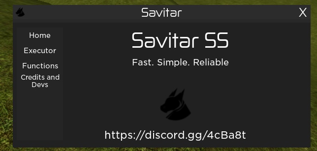 Savitar Ss Server Side Wearedevs Forum