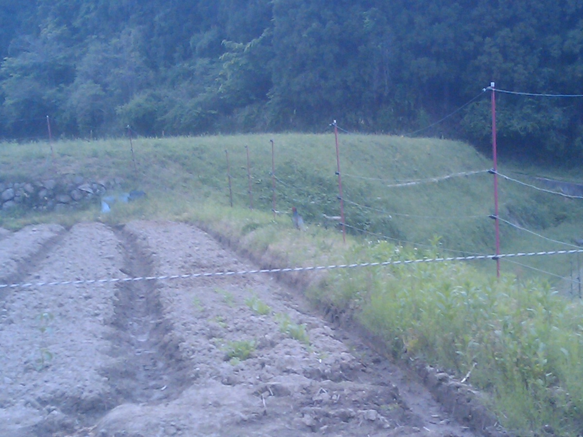 Web site image