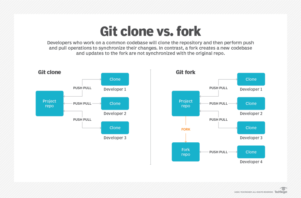 Git clone branch